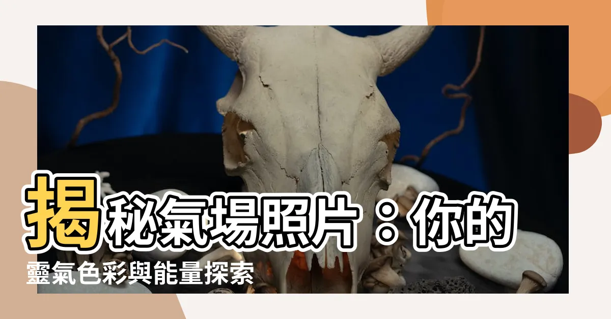 【氣場照片】揭秘氣場照片：你的靈氣色彩與能量探索