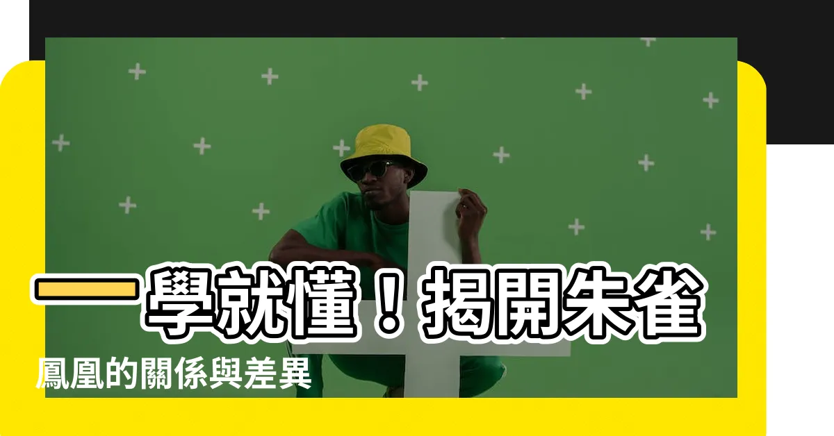 【朱雀鳳凰】一學就懂！揭開朱雀鳳凰的關係與差異