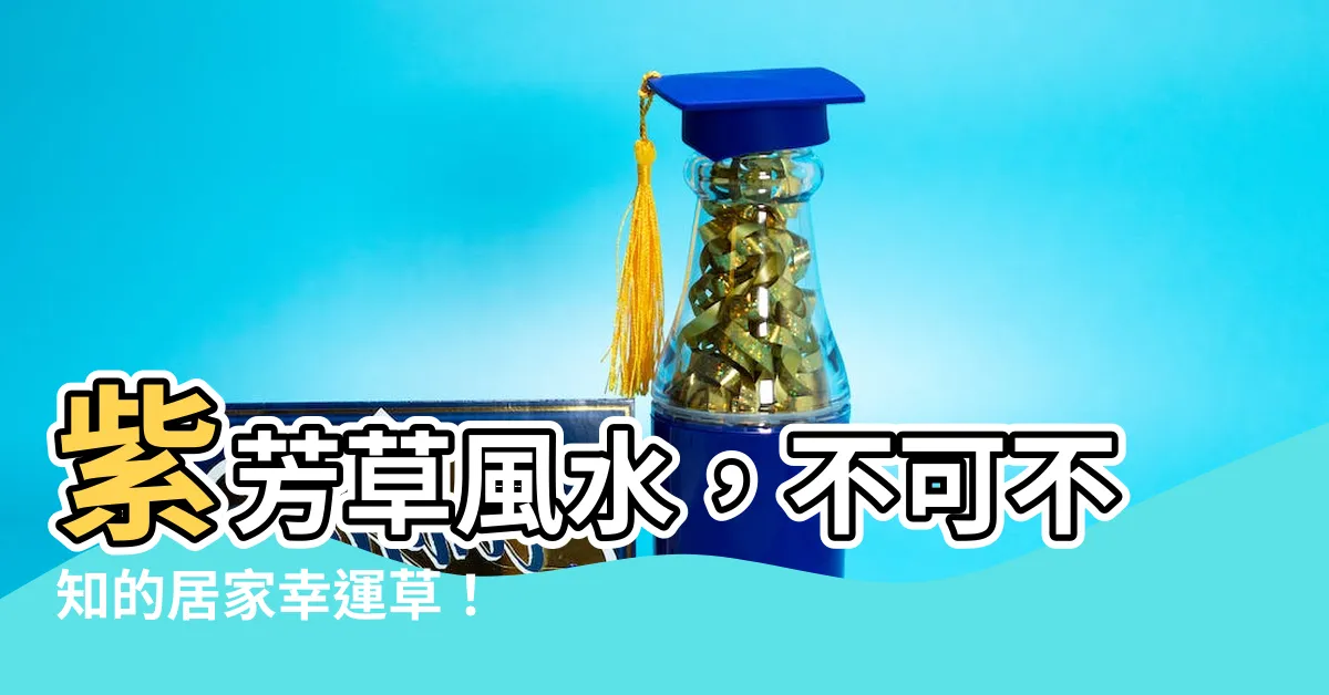 【紫芳草風水】紫芳草風水，不可不知的居家幸運草！