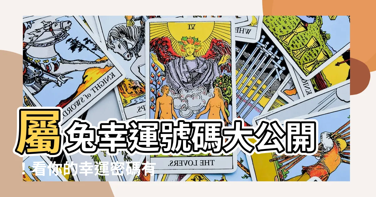 【屬兔幸運號碼】屬兔幸運號碼大公開！看你的幸運密碼有哪些！
