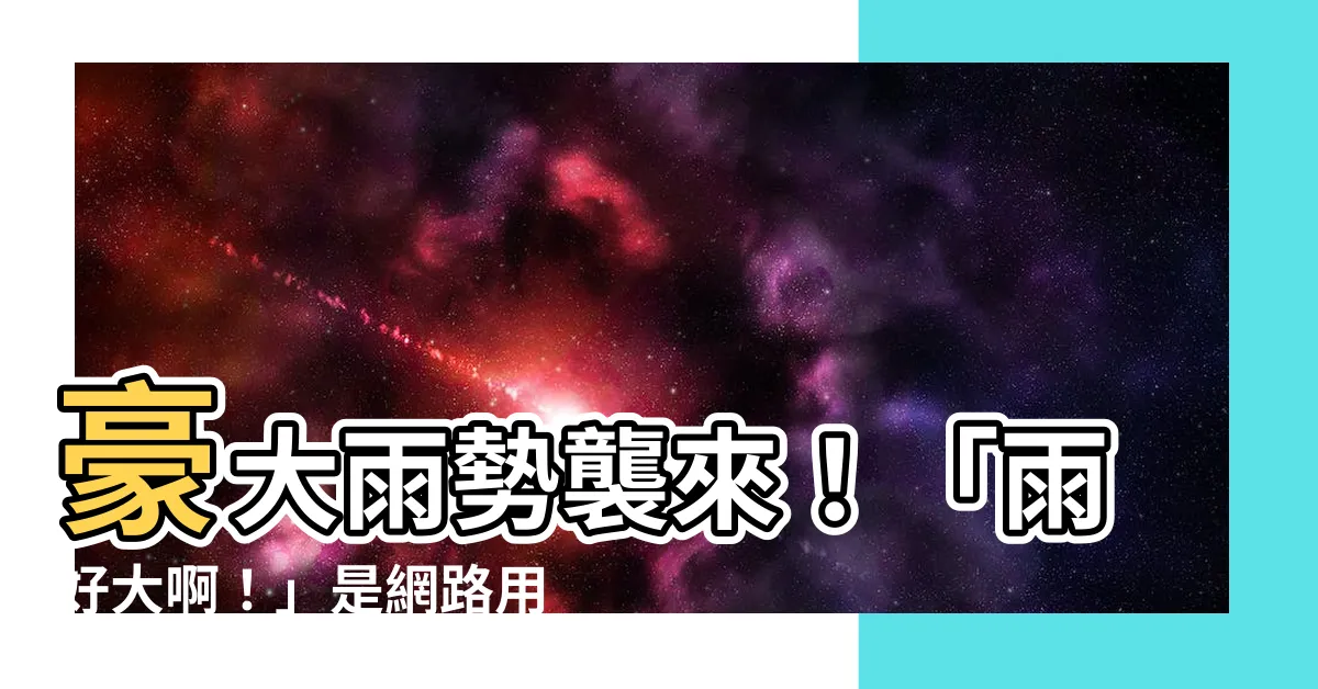 【雨好大】豪大雨勢襲來！「雨好大啊！」是網路用語還是一門美學？