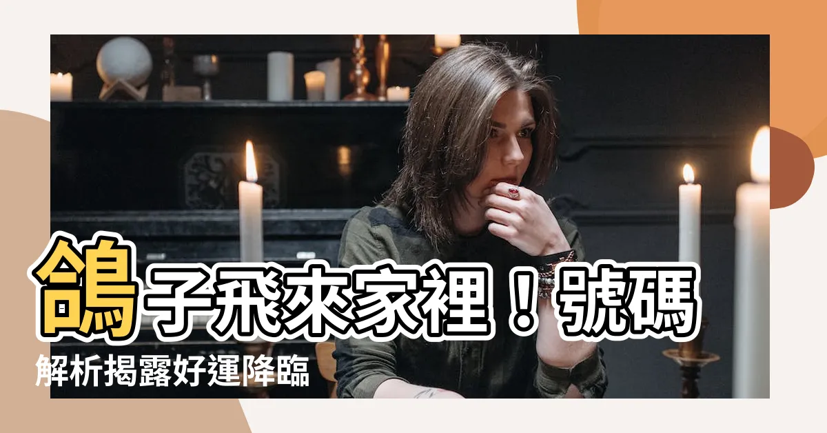 【鴿子飛來家裡號碼】鴿子飛來家裡！號碼解析揭露好運降臨