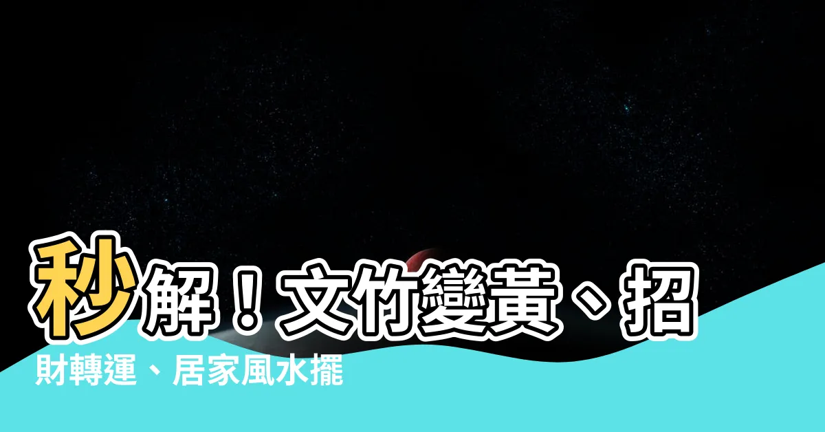 【文竹風水】秒解！文竹變黃、招財轉運、居家風水擺設秘訣
