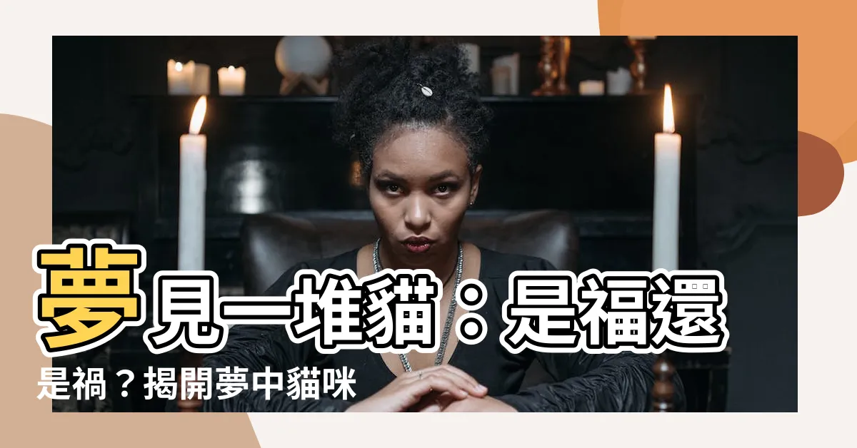 【夢見一堆貓】夢見一堆貓：是福還是禍？揭開夢中貓咪的秘密！