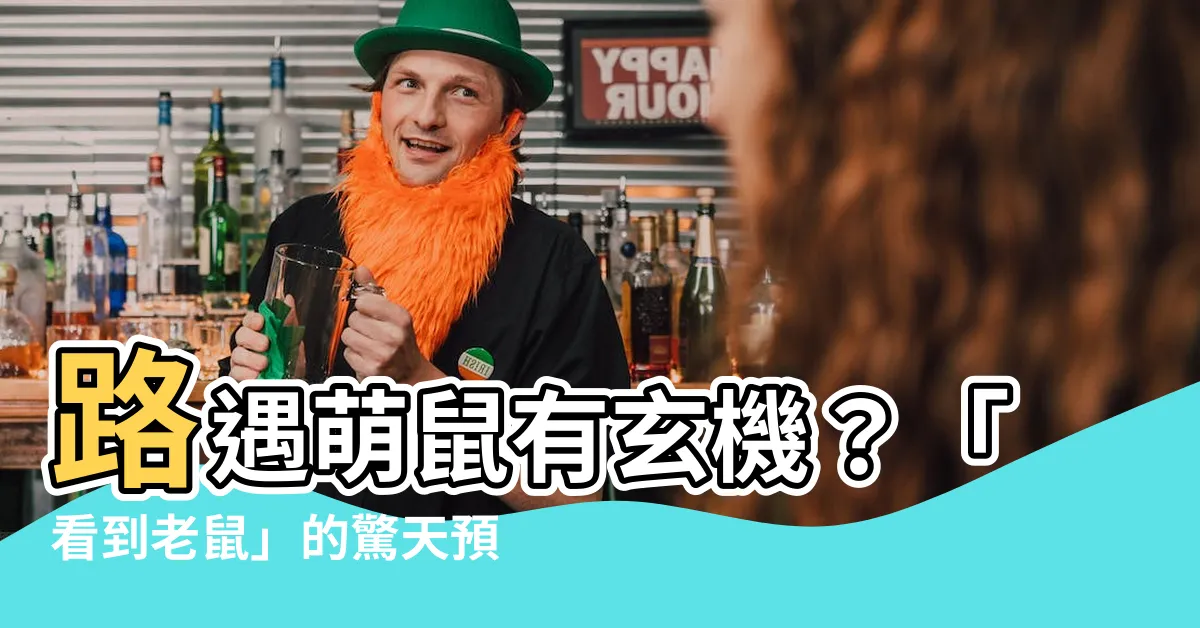 【看到老鼠】路遇萌鼠有玄機？「看到老鼠」的驚天預兆，快來揭曉！