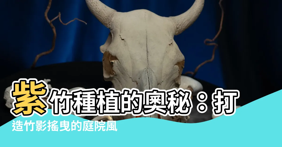 【紫竹種植】紫竹種植的奧秘：打造竹影搖曳的庭院風光