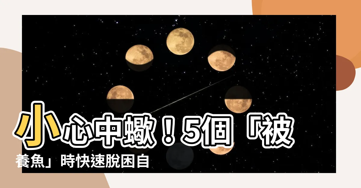 【被養魚】小心中蠍！5個「被養魚」時快速脱困自救法
