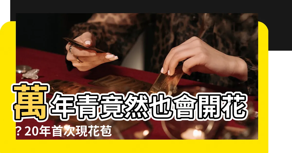 【萬年青會開花嗎】萬年青竟然也會開花？20年首次現花苞，專家解析寓意超神！