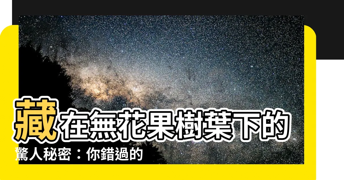 【無花果樹的葉子】藏在無花果樹葉下的驚人秘密：你錯過的超級食材