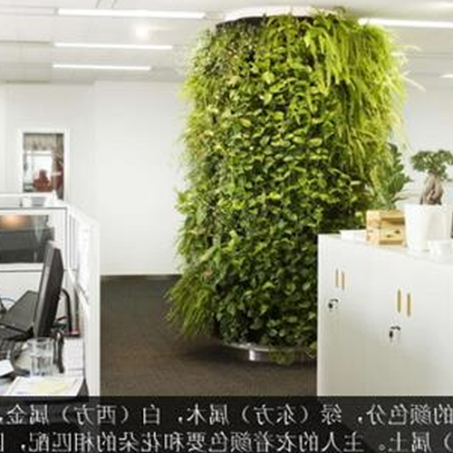 1、辦公室植物擺放風水方面有哪些