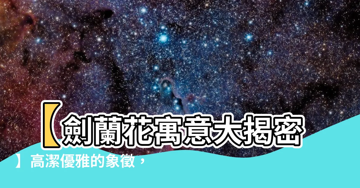 【劍蘭花寓意】【劍蘭花寓意大揭密】高潔優雅的象徵，送禮表達美好祝福