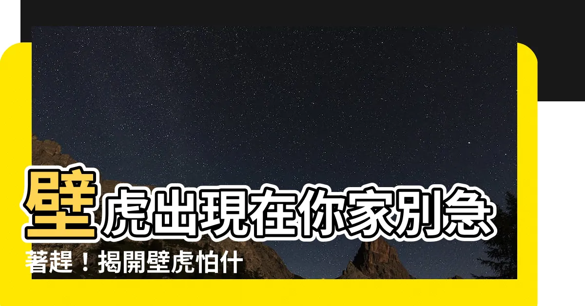 【壁虎出現原因】壁虎出現在你家別急著趕！揭開壁虎怕什麼和不該驅趕的5個原因