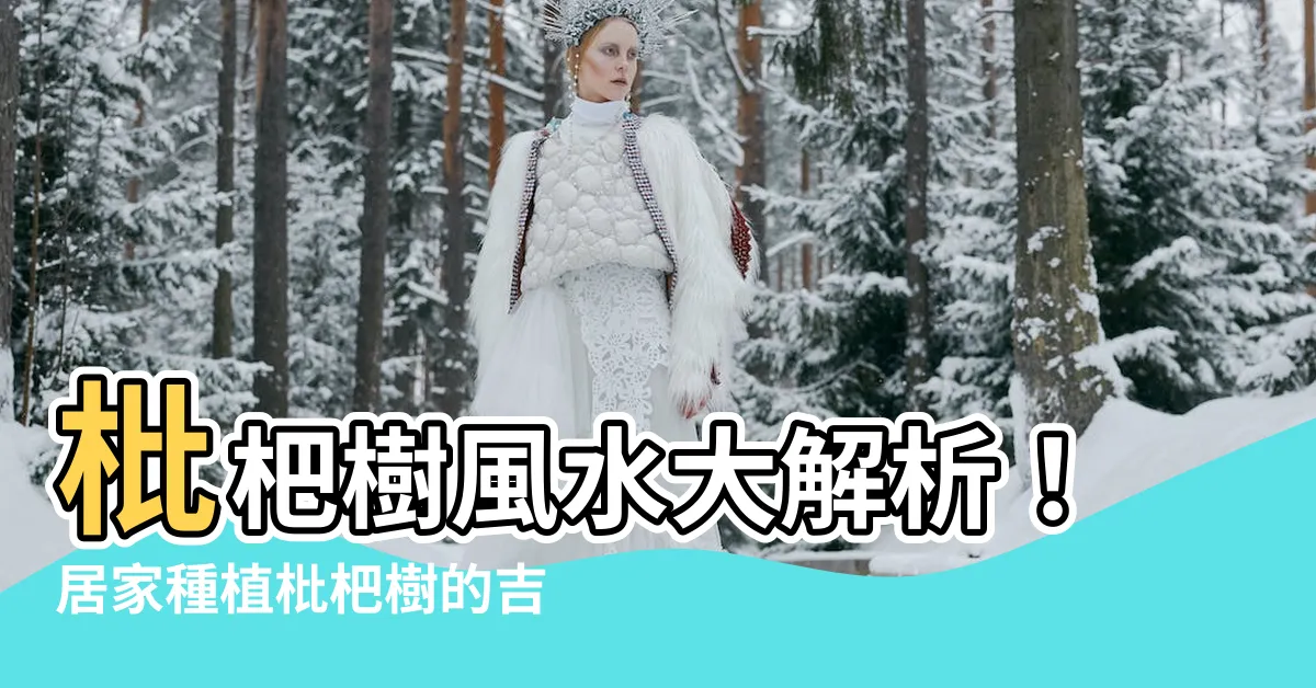 【枇杷樹風水】枇杷樹風水大解析！居家種植枇杷樹的吉凶與注意事項