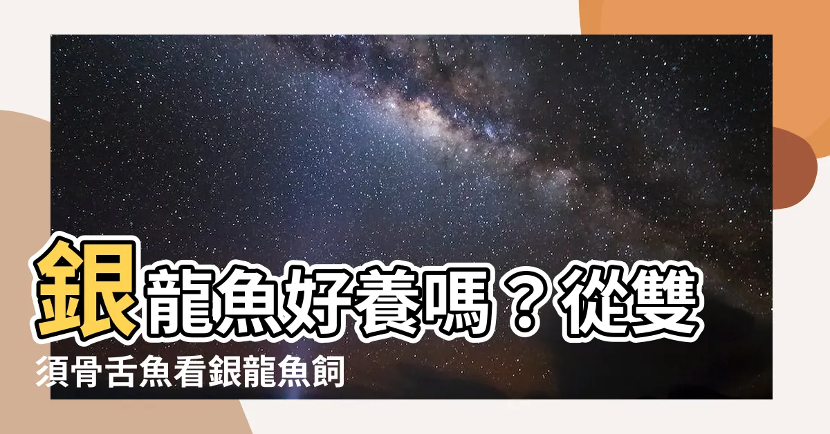 【銀龍魚】銀龍魚好養嗎？從雙須骨舌魚看銀龍魚飼養指南