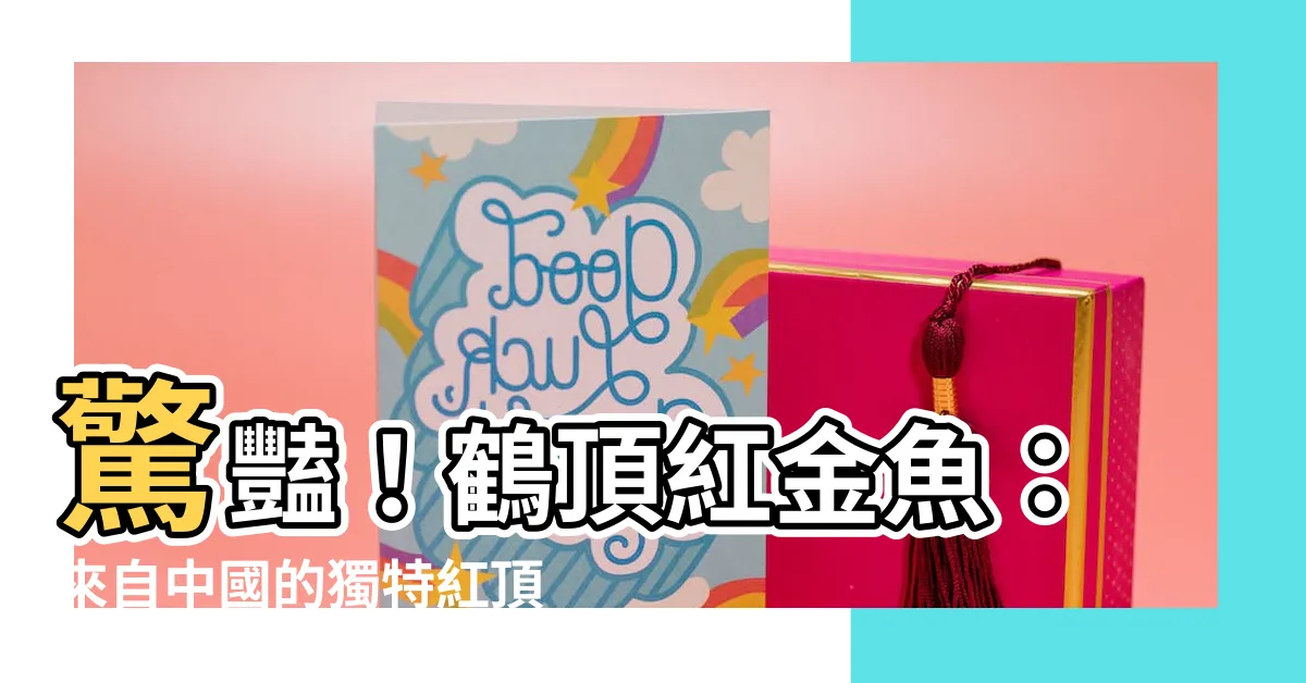 【鶴頂紅金魚】驚豔！鶴頂紅金魚：來自中國的獨特紅頂之美！
