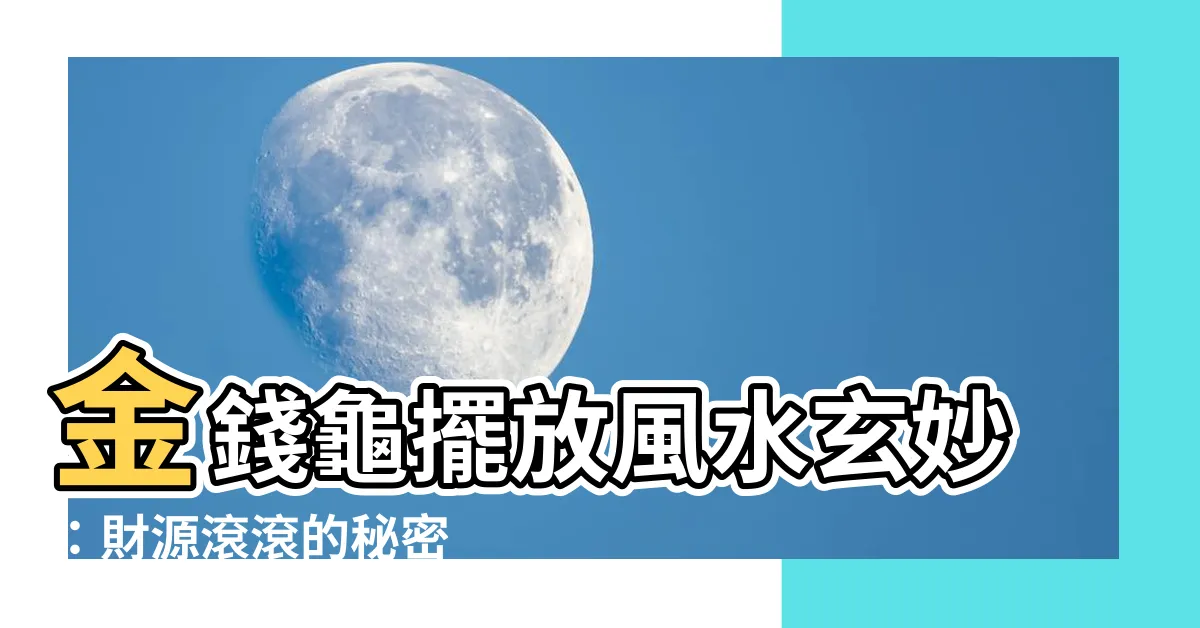 【金錢龜擺放】金錢龜擺放風水玄妙：財源滾滾的秘密