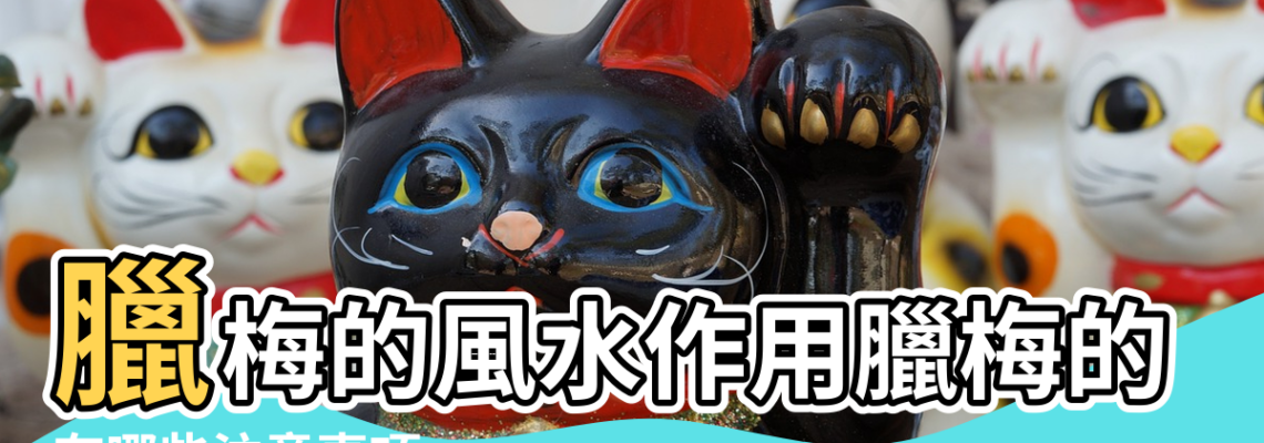【臘梅放室內講究風水嗎】臘梅的風水作用臘梅的風水學應用 |有哪些注意事項 |臘梅花能放臥室養嗎 |