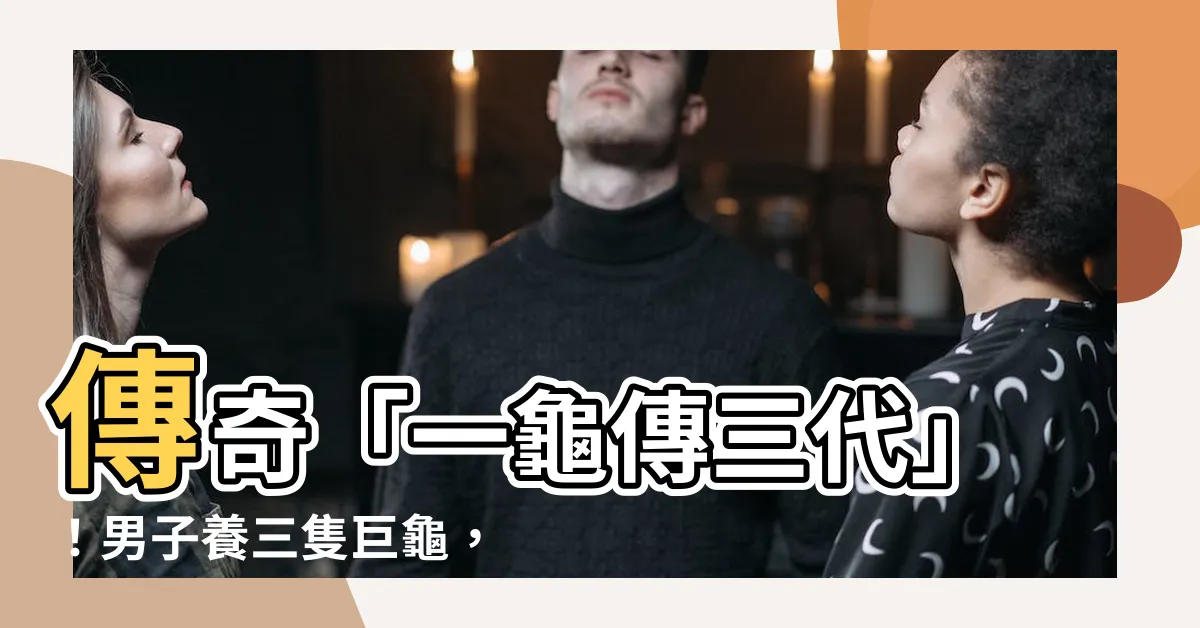 【一龜傳三代】傳奇「一龜傳三代」！男子養三隻巨龜，百歲後留給子孫