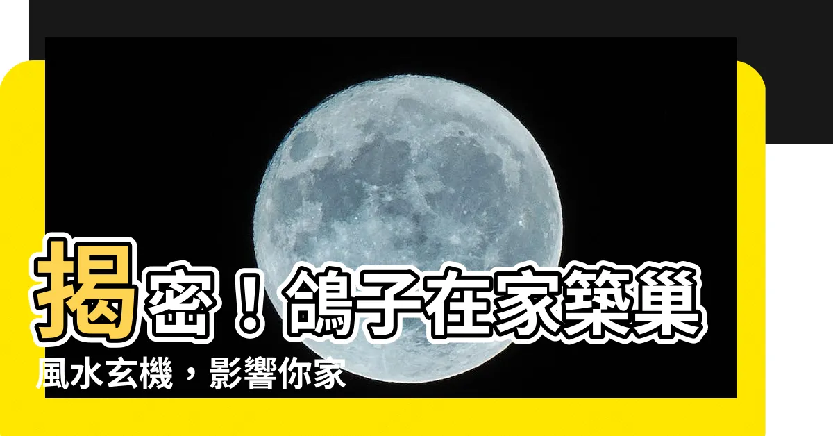 【鴿子在家築巢風水】揭密！鴿子在家築巢風水玄機，影響你家運勢吉凶！