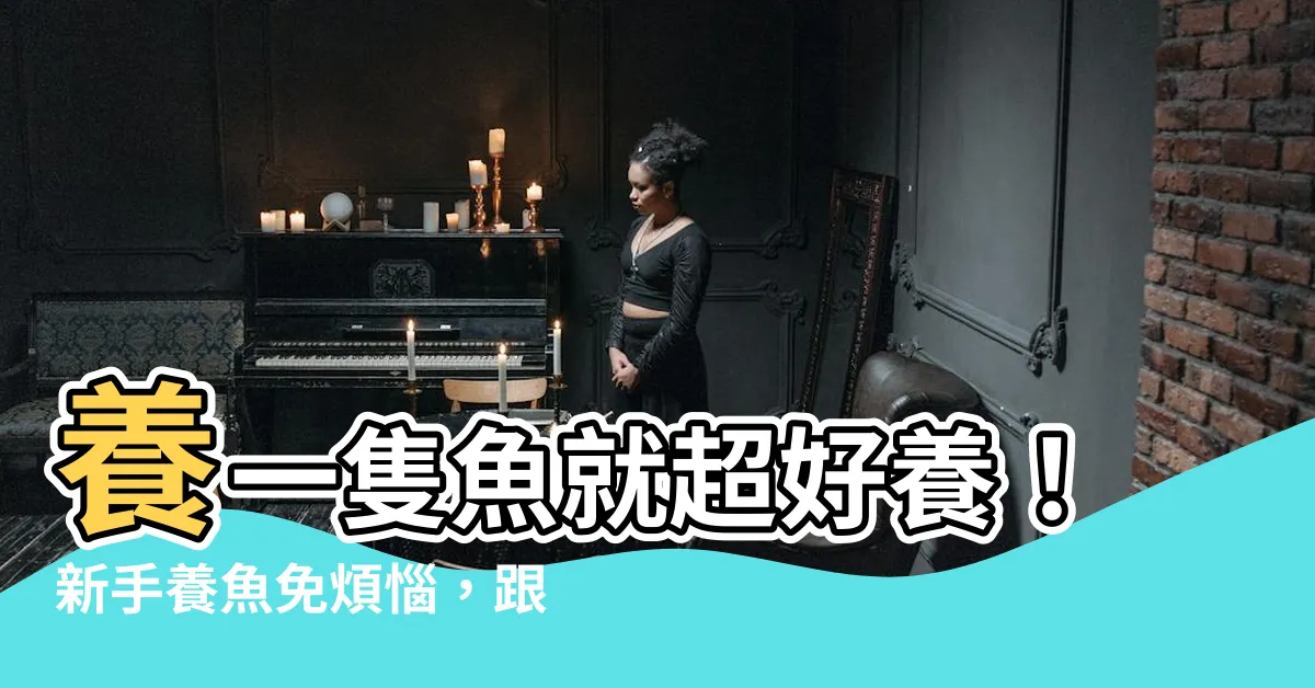 【養一隻魚】養一隻魚就超好養！新手養魚免煩惱，跟著做就能養得活！