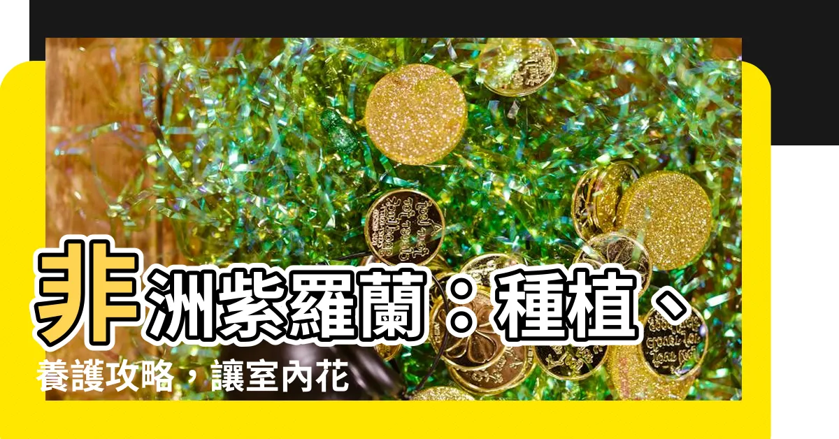 【非洲紫蘿蘭】非洲紫羅蘭：種植、養護攻略，讓室內花海綻放不間斷