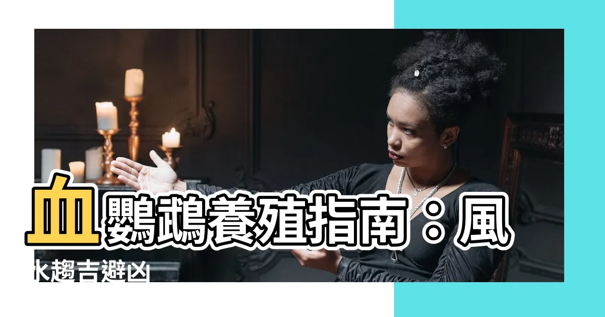 【風水血鸚鵡】血鸚鵡養殖指南：風水趨吉避兇