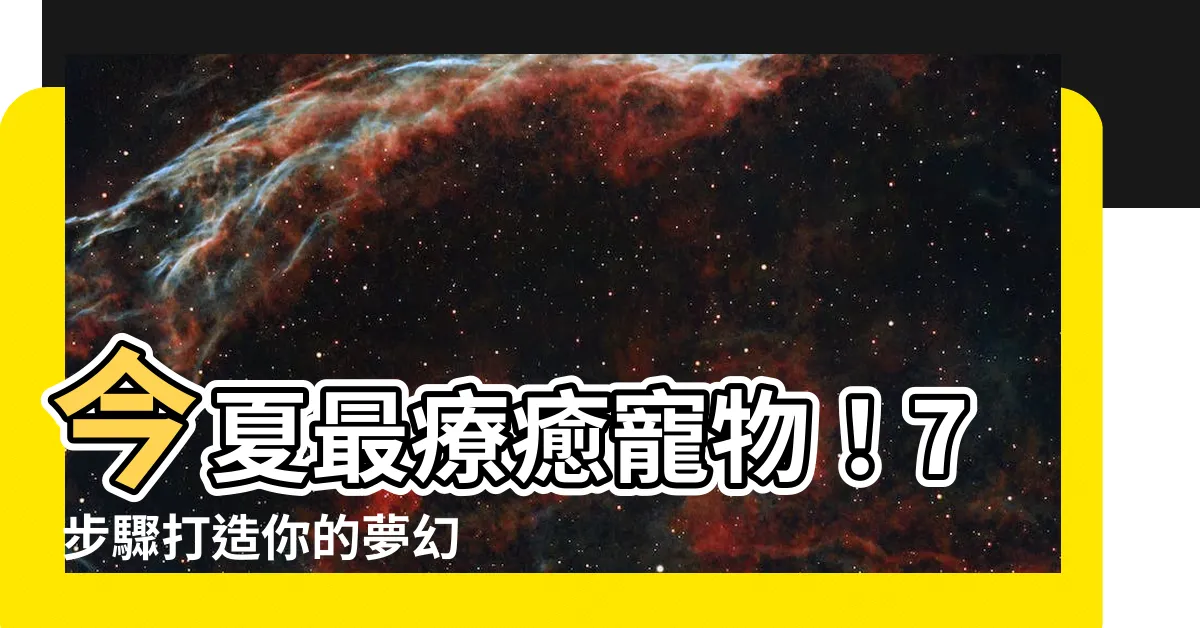 【養蝸牛】今夏最療癒寵物！7 步驟打造你的夢幻蝸牛樂園