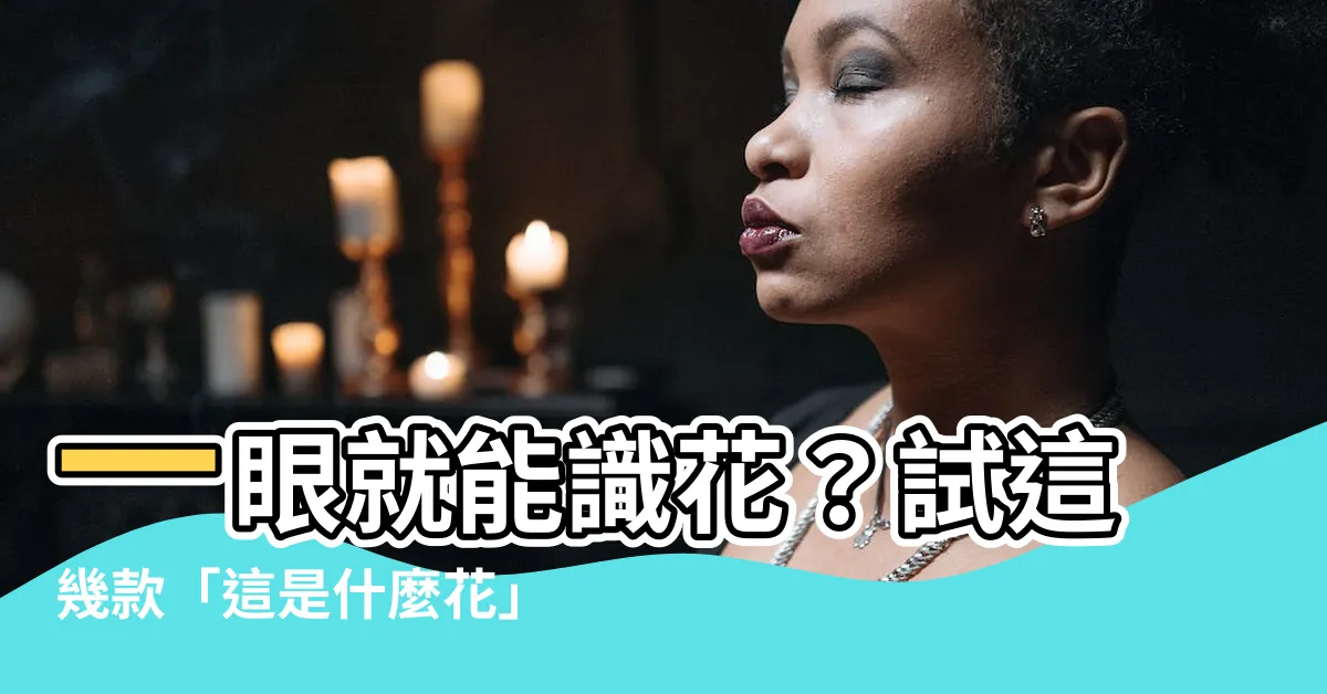 【這是什麼花app】一眼就能識花？試這幾款「這是什麼花」識別 App！