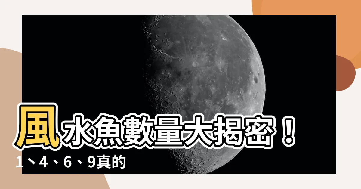 【風水魚 數量】風水魚數量大揭密！1丶4、6、9真的最佳？