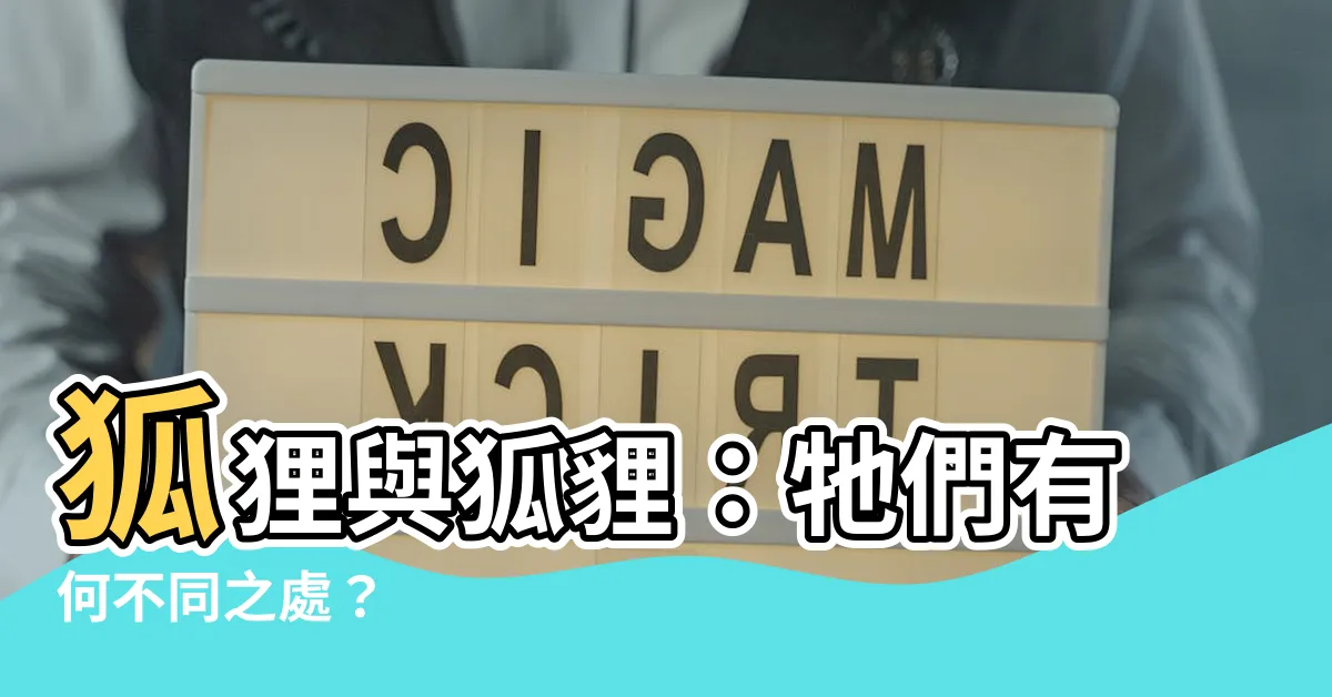 【狐狸狐狸】狐狸與狐貍：牠們有何不同之處？