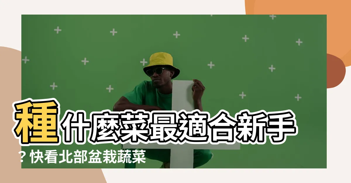 【種什麼】種什麼菜最適合新手？快看北部盆栽蔬菜種植全攻略