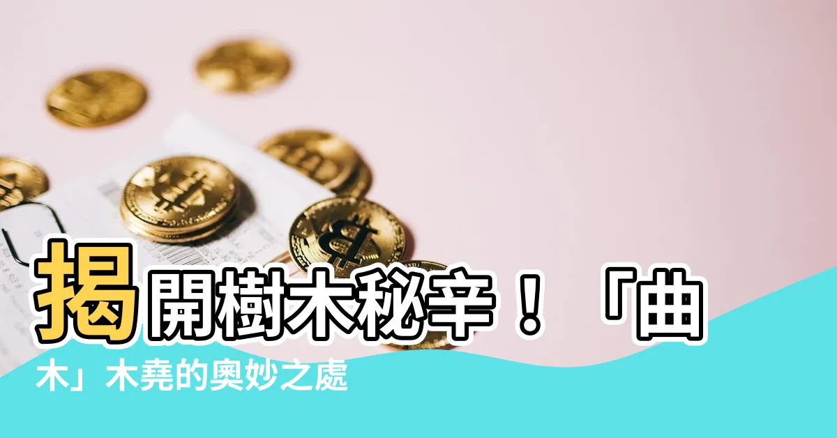【木堯】揭開樹木秘辛！「曲木」木堯的奧妙之處！