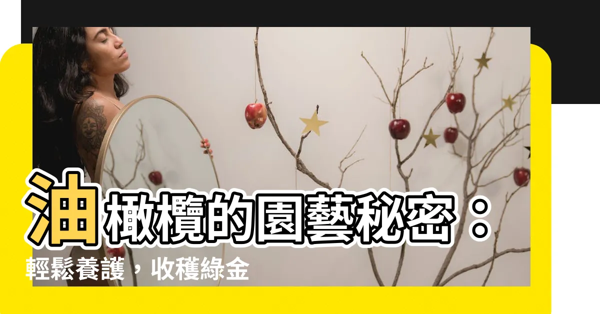 【油橄欖照顧】油橄欖的園藝秘密：輕鬆養護，收穫綠金！