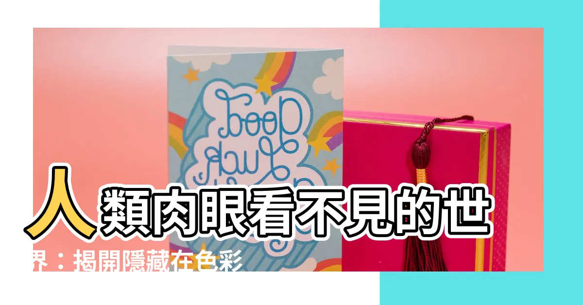 【人類看不到的顏色】人類肉眼看不見的世界：揭開隱藏在色彩之下的秘密