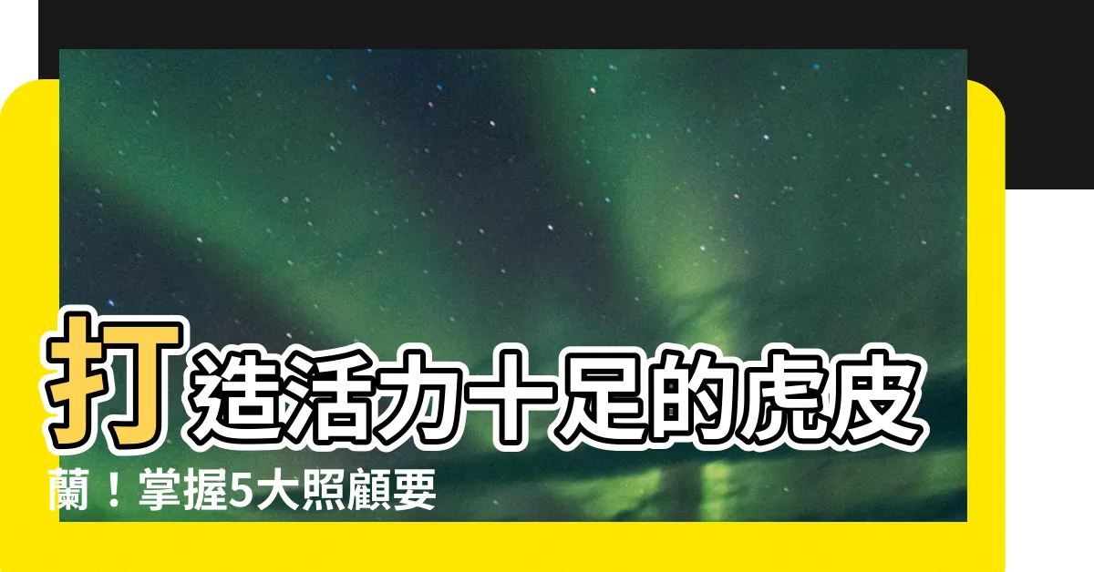 【虎皮蘭照顧】打造活力十足的虎皮蘭！掌握5大照顧要訣