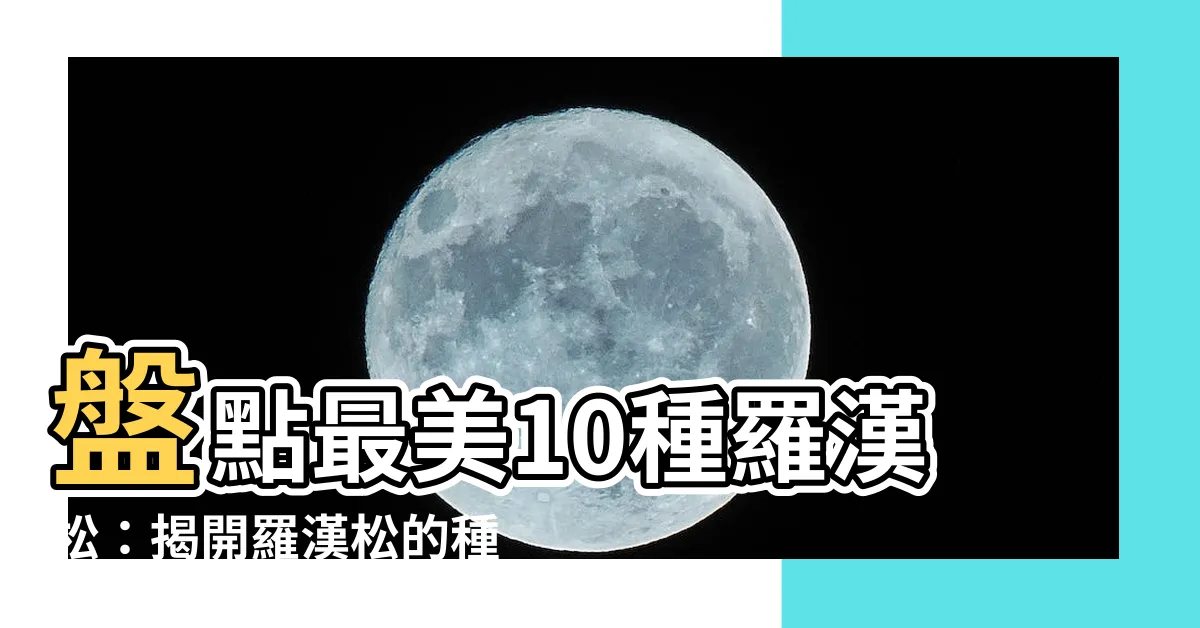 【羅漢松的種類】盤點最美10種羅漢松：揭開羅漢松的種類之謎