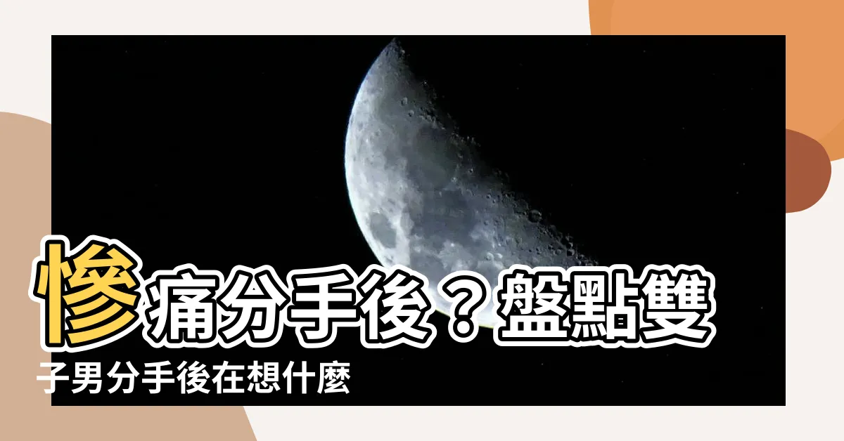 【雙子男分手後在想什麼】慘痛分手後？盤點雙子男分手後在想什麼+特徵！