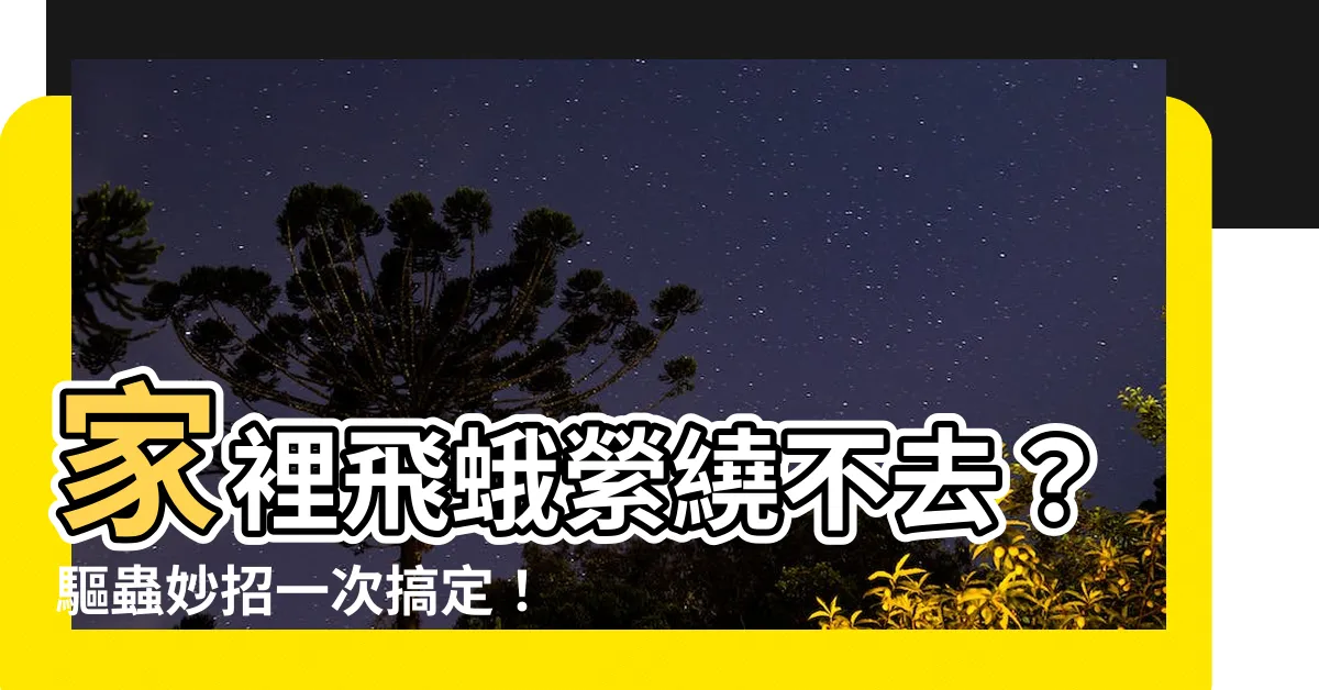 【家裡有 飛蛾 怎麼辦】家裡飛蛾縈繞不去？驅蟲妙招一次搞定！