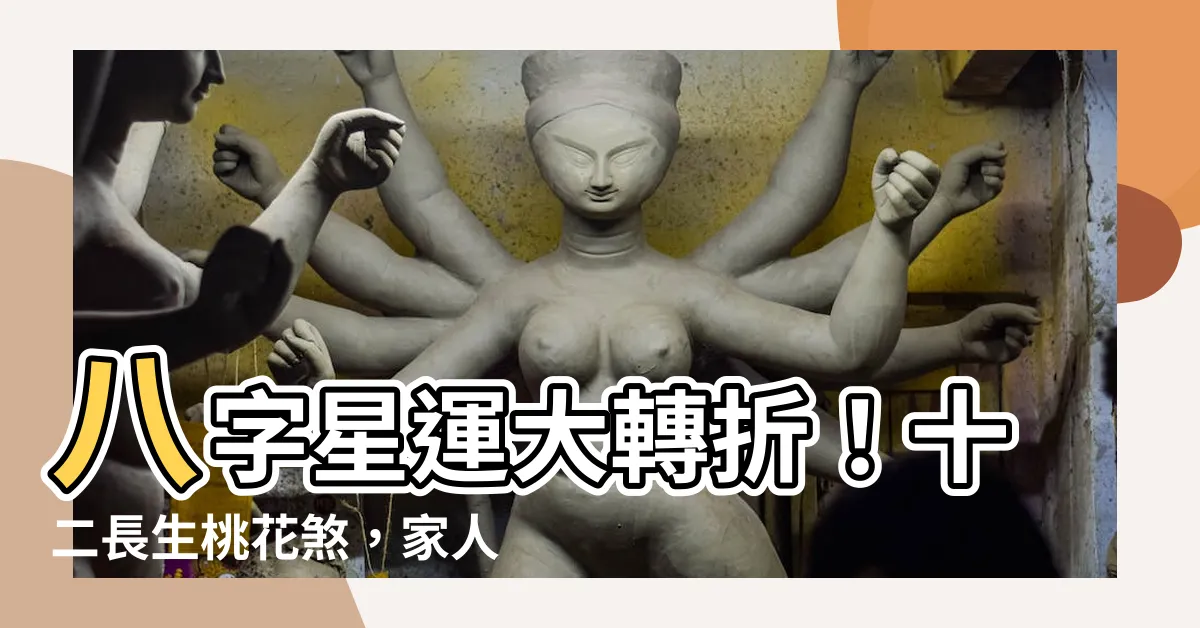 【八字 星運】八字星運大轉折！十二長生桃花煞，家人反目成仇！
