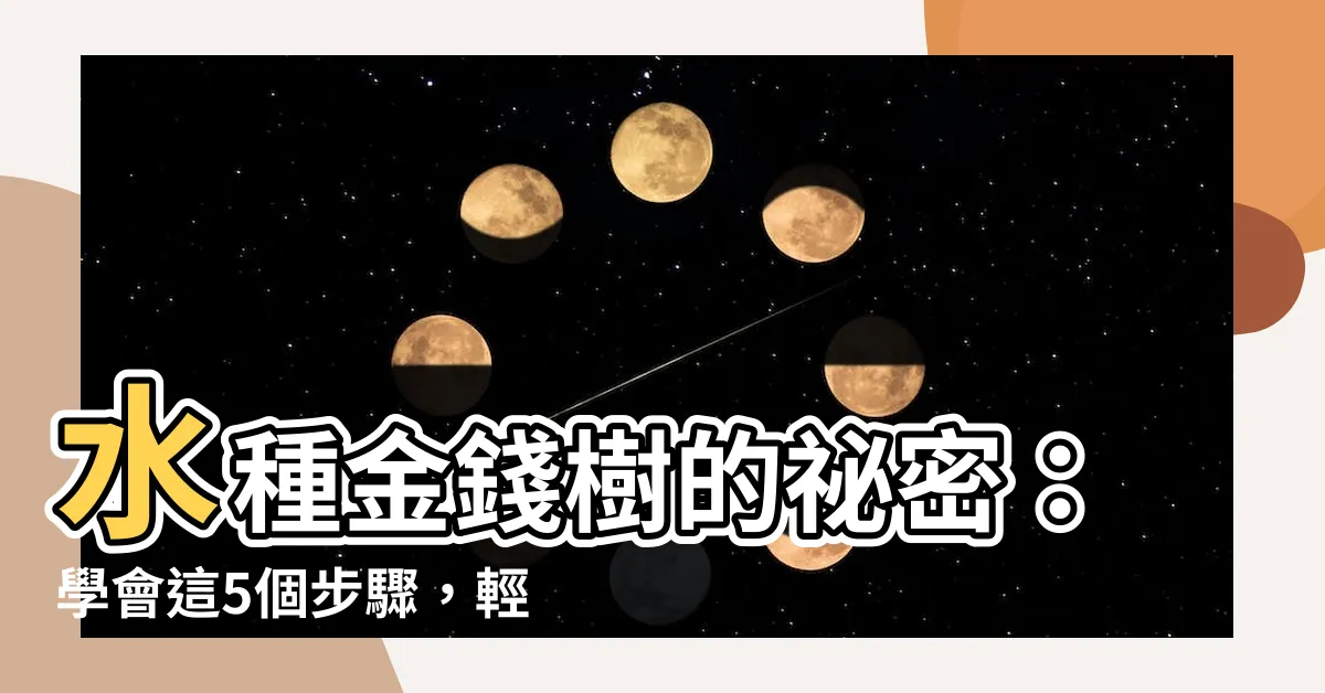 【金錢樹可以水種嗎】水種金錢樹的秘密：學會這5個步驟，輕鬆養出一棵發財吉祥樹！