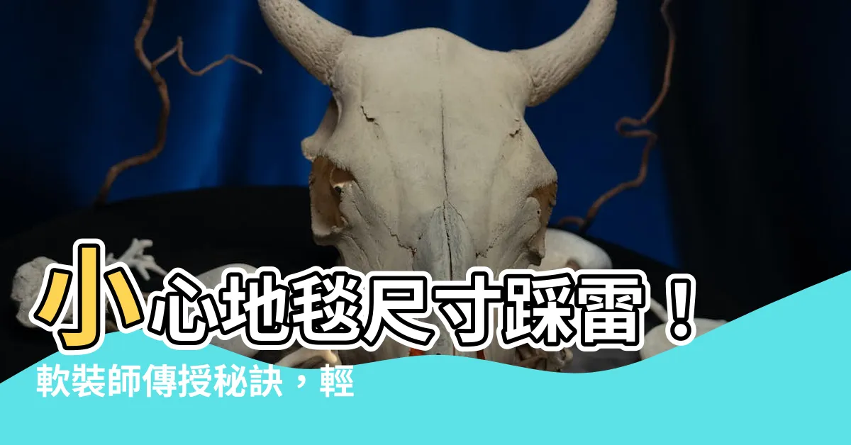 【地毯尺寸挑選】小心地毯尺寸踩雷！軟裝師傳授秘訣，輕鬆挑選完美地毯