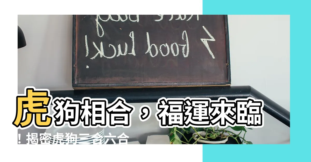 【虎狗三合】虎狗相合，福運來臨！揭密虎狗三合六合相生奧秘
