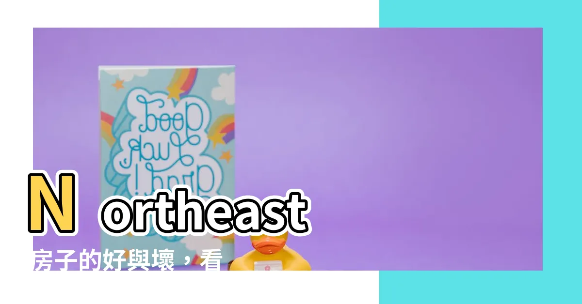 【東北房子】Northeast 房子的好與壞，看完一目瞭然