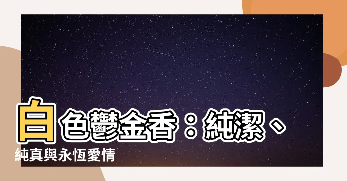 【白色鬱金香花語】白色鬱金香：純潔、純真與永恆愛情