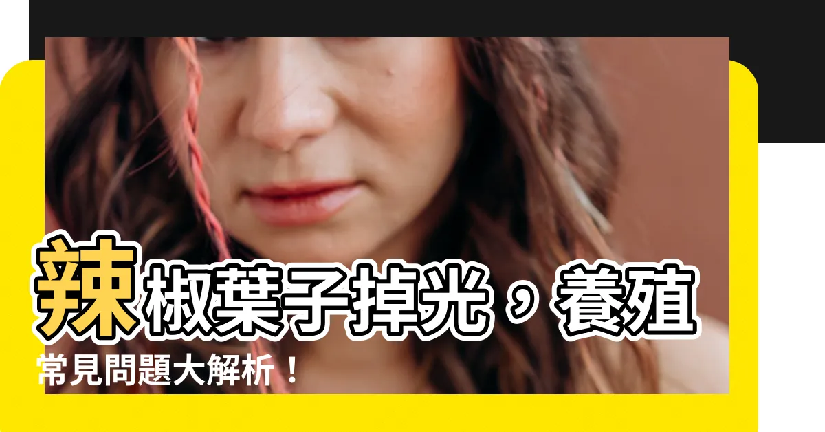 【辣椒葉子掉光】辣椒葉子掉光，養殖常見問題大解析！