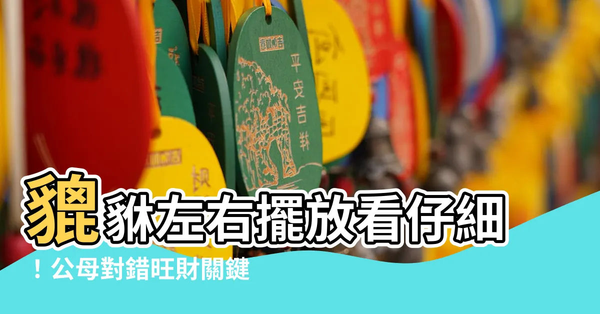 【貔貅公母擺放左右】貔貅左右擺放看仔細！公母對錯旺財關鍵解密