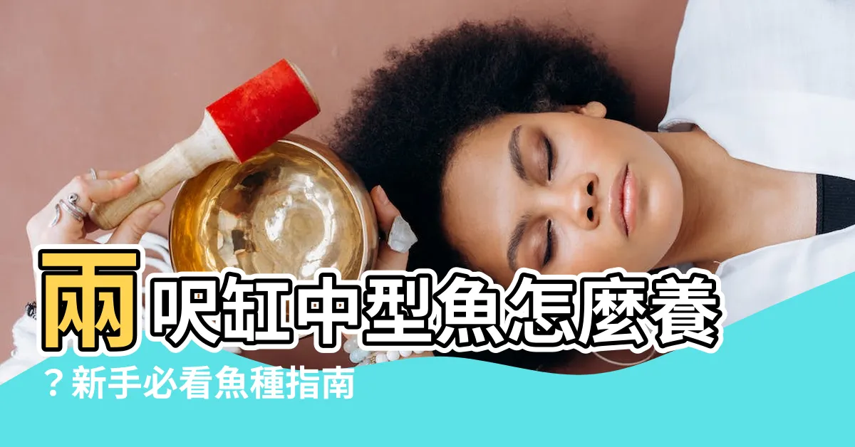 【兩呎缸中型魚】兩呎缸中型魚怎麼養？新手必看魚種指南！
