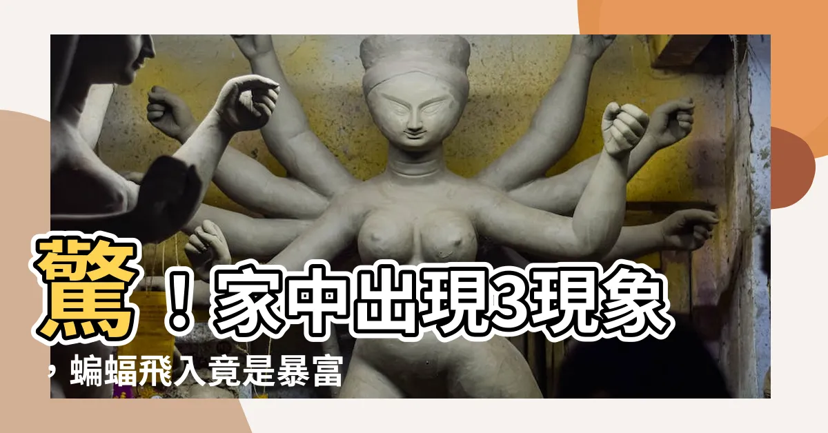 【蝙蝠代表什麼】驚！家中出現3現象，蝙蝠飛入竟是暴富徵兆？揭密蝙蝠代表什麼
