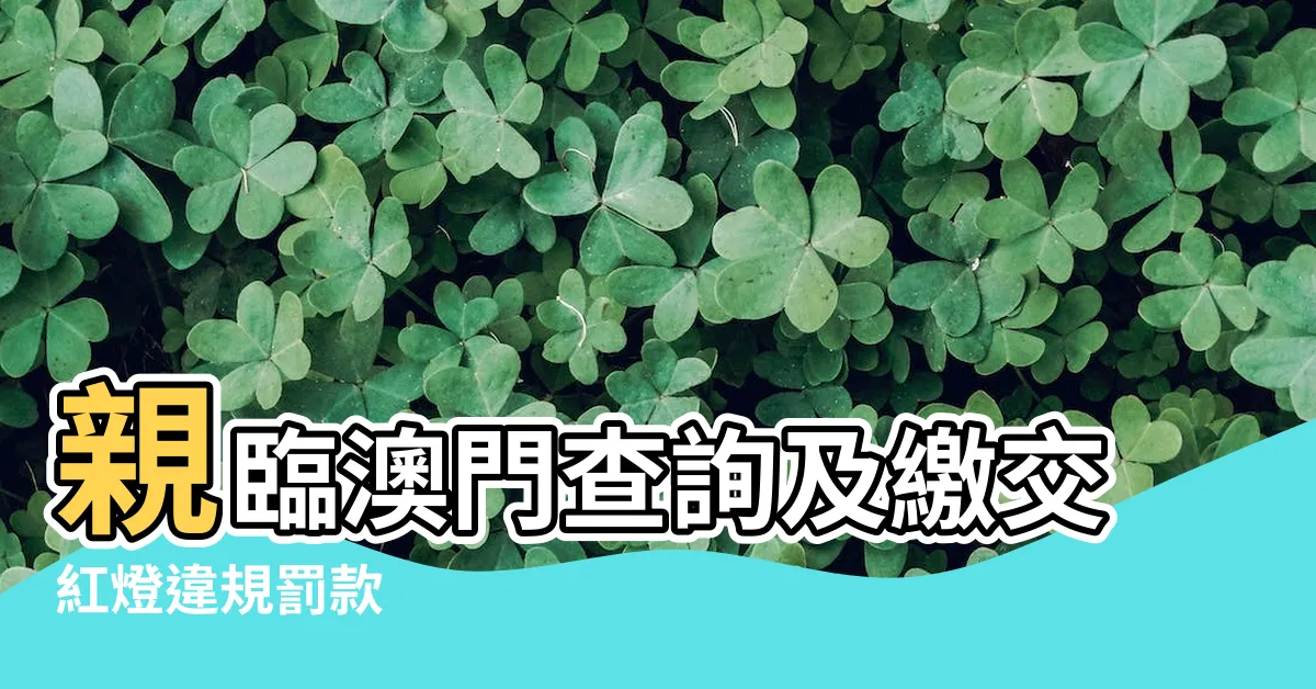 【澳門衝紅燈查詢】親臨澳門查詢及繳交紅燈違規罰款