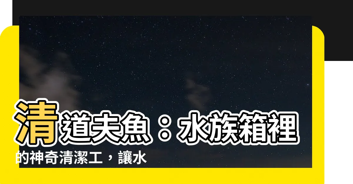 【清道夫】清道夫魚：水族箱裡的神奇清潔工，讓水族箱煥然一新！